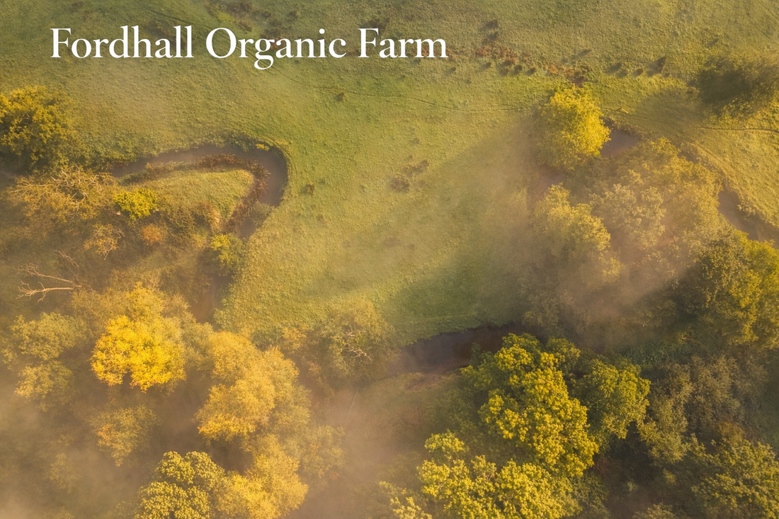 From Field to Face: Why True Skincare Starts in the Soil